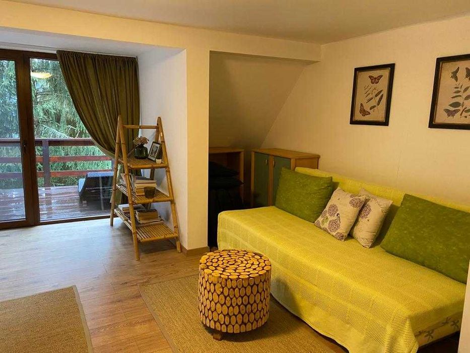 De inchiriat- Mountain Chalet- Cabana la Muntele Baisorii- max 6 pers