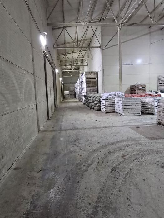 Продаётся база овоще хранилище.