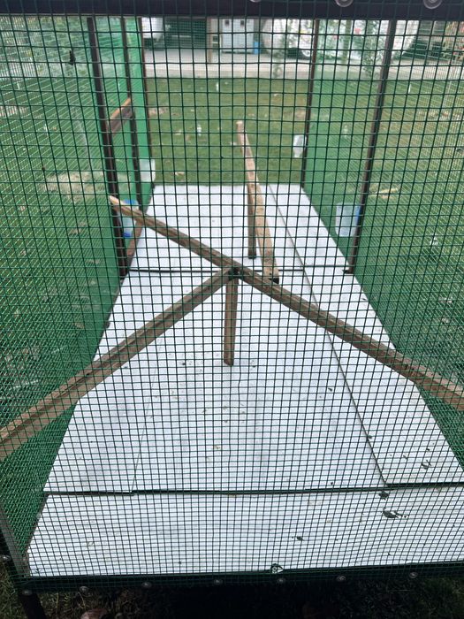 Parrandalar uchun katak