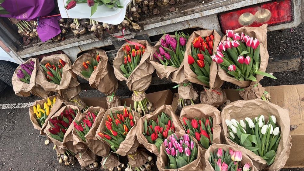 Тюльпаны по 450тг
