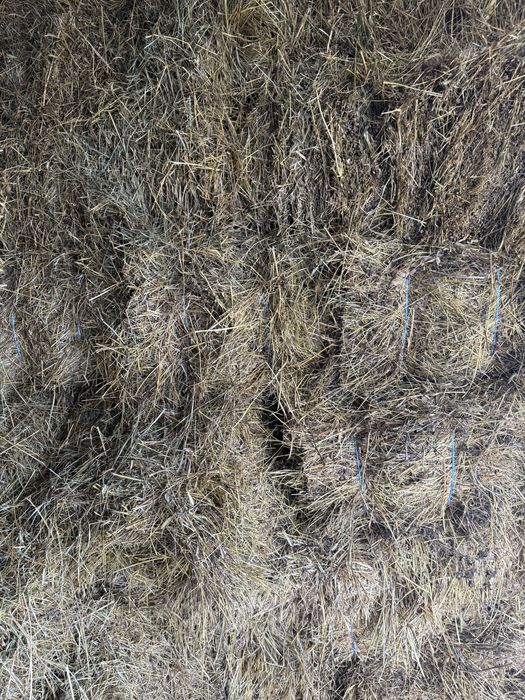 Baloti amestec furaje si lucerna