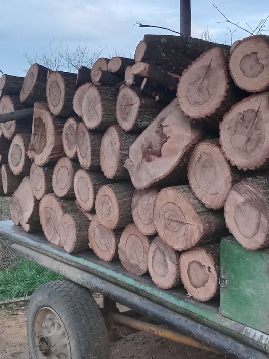 Lemn de foc calitate superioara