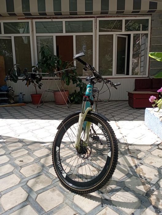 Velosapet sotiladi