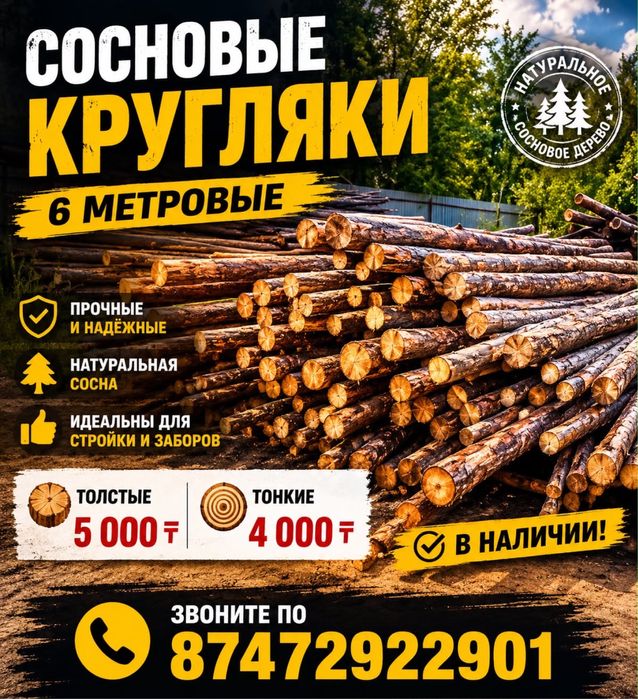 Сосновые бровно . Борене сатылады