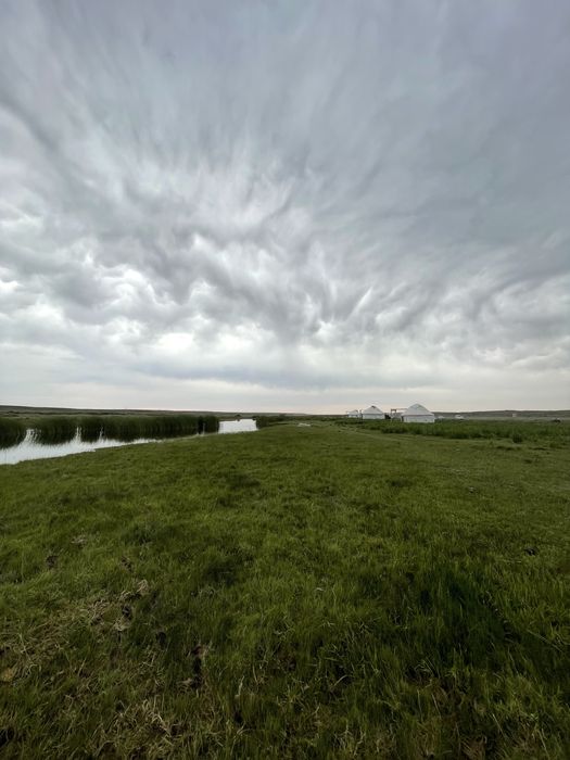 Дайын бизнес сатылады