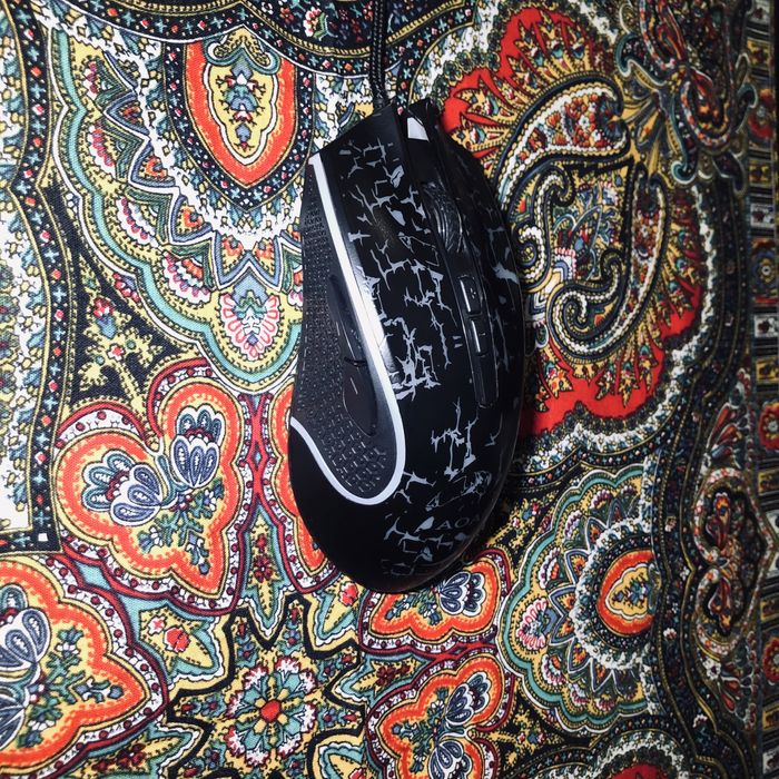 Две мишки AOAS и една настолна камера canyon