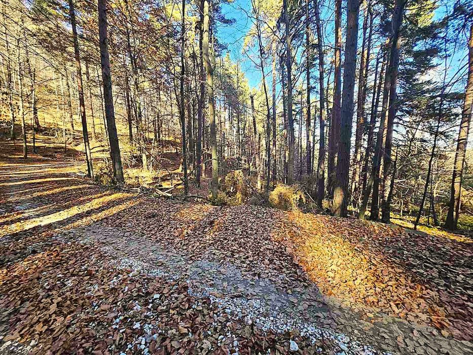 Земеделска земя 1 757 кв.м до последните къщи на Бойково – местност Ф
