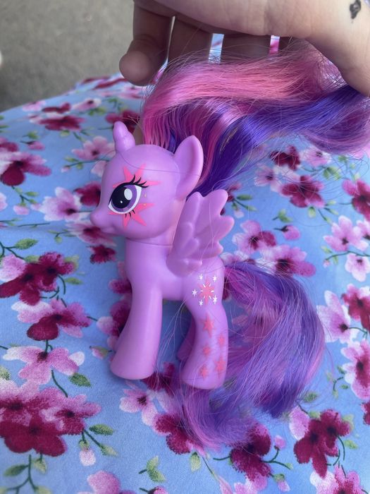 My little pony,Пони