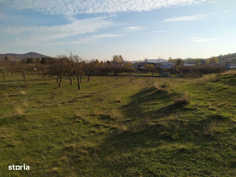 Proprietar Teren intravilan DE VÂNZARE Campina-PH (negociabil)