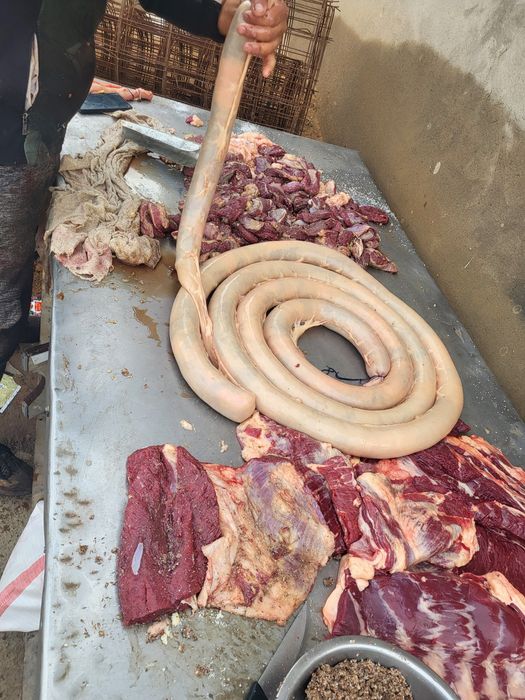 Жілік жылкы еті 2600тг