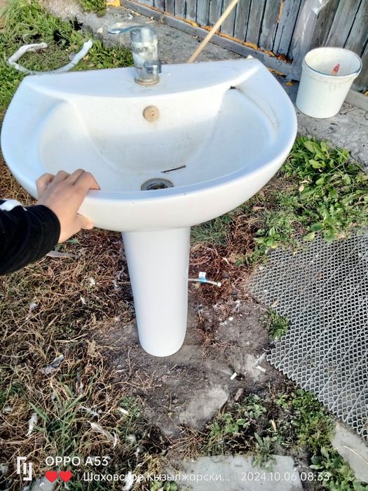 Раковина тюльпан бу