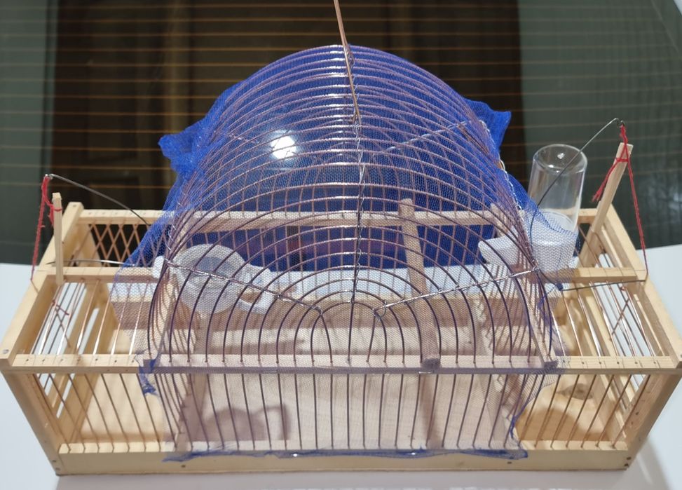 Qush ushlashga tor paudinka lavushkalar chertma bor