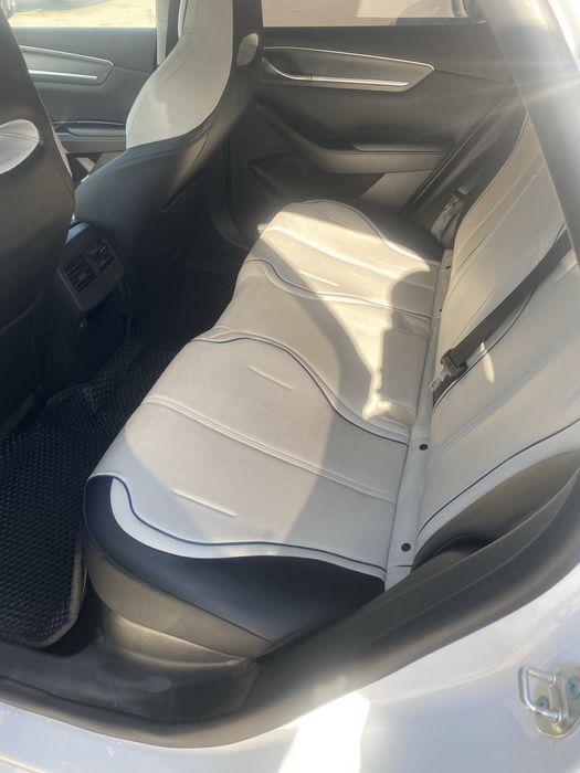 chazor 1 paz 55 tali tozza