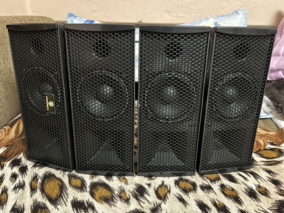 Boxe Proreck Line Array