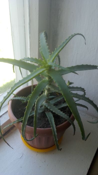 Продам продам...