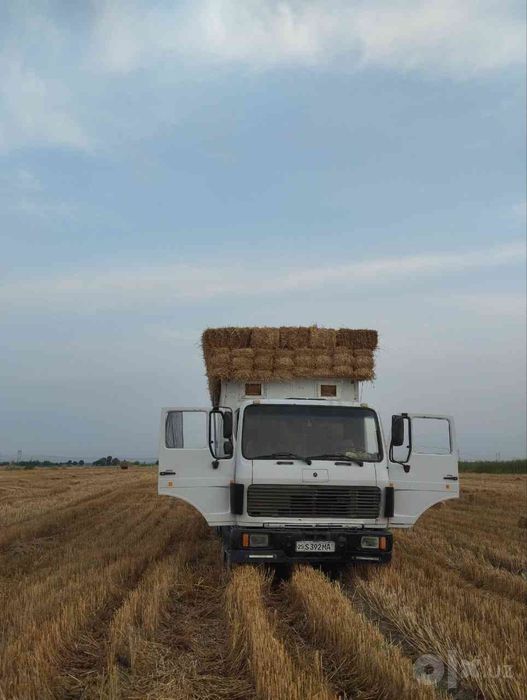 Mercedes Benz sotiladi