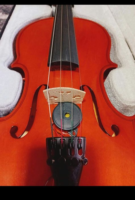 Instrument muzical vioara