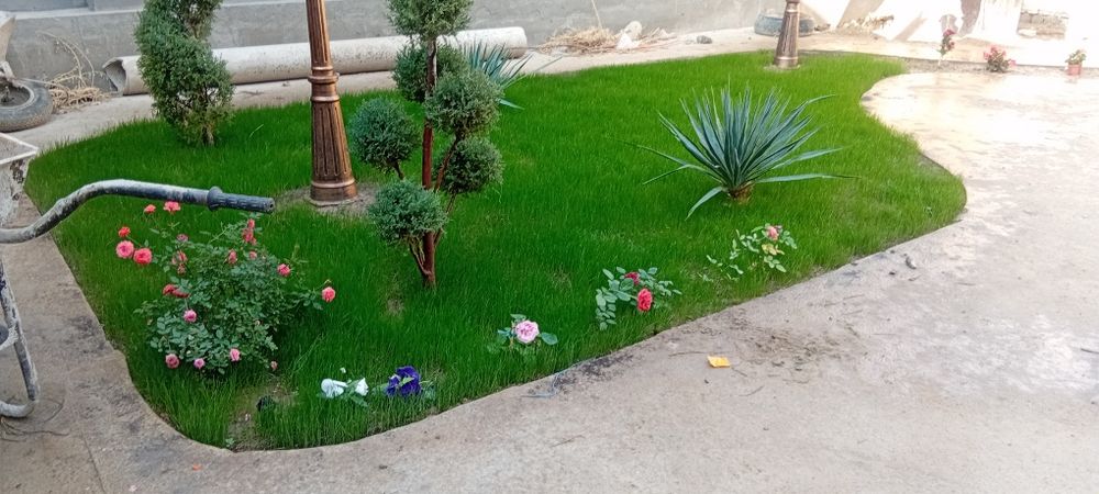 Archa kesish dorishlash