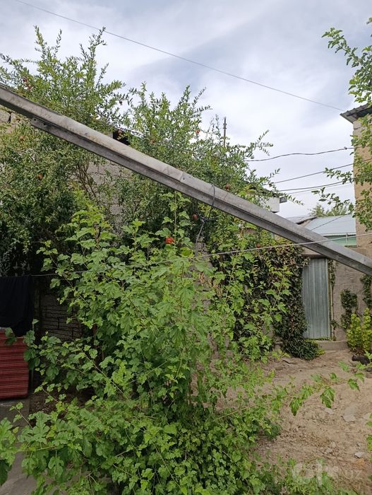 Ул.Фитрата Г.Алиева 4.2сот.35000уе