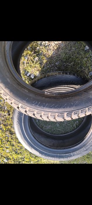 Болоны на 16 зима.