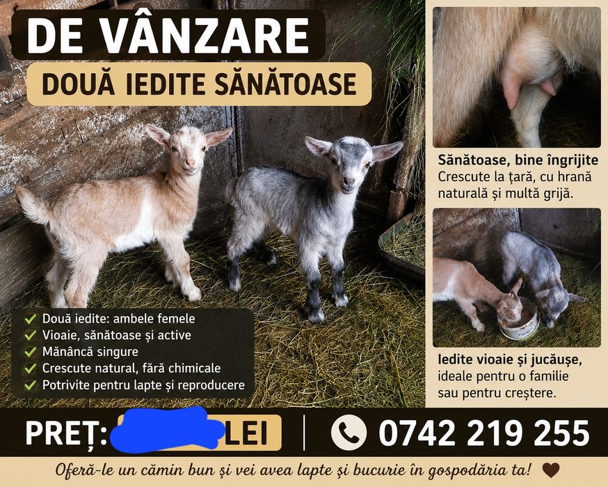 Caprita cu doi iezi