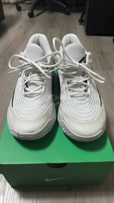 Оригинални баскетболни обувки Nike Giannis Immortality 4 размер 45