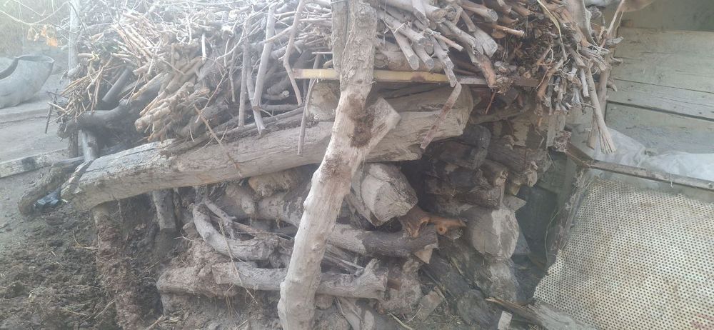 Утинлар сотилади