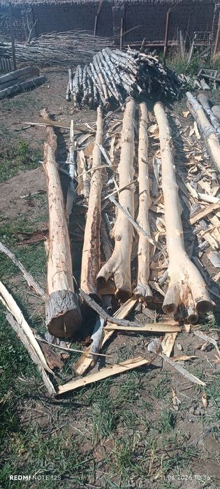 Актерек сатылады