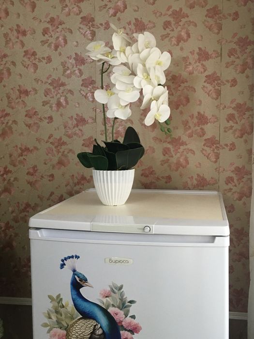 Архидея своими руками