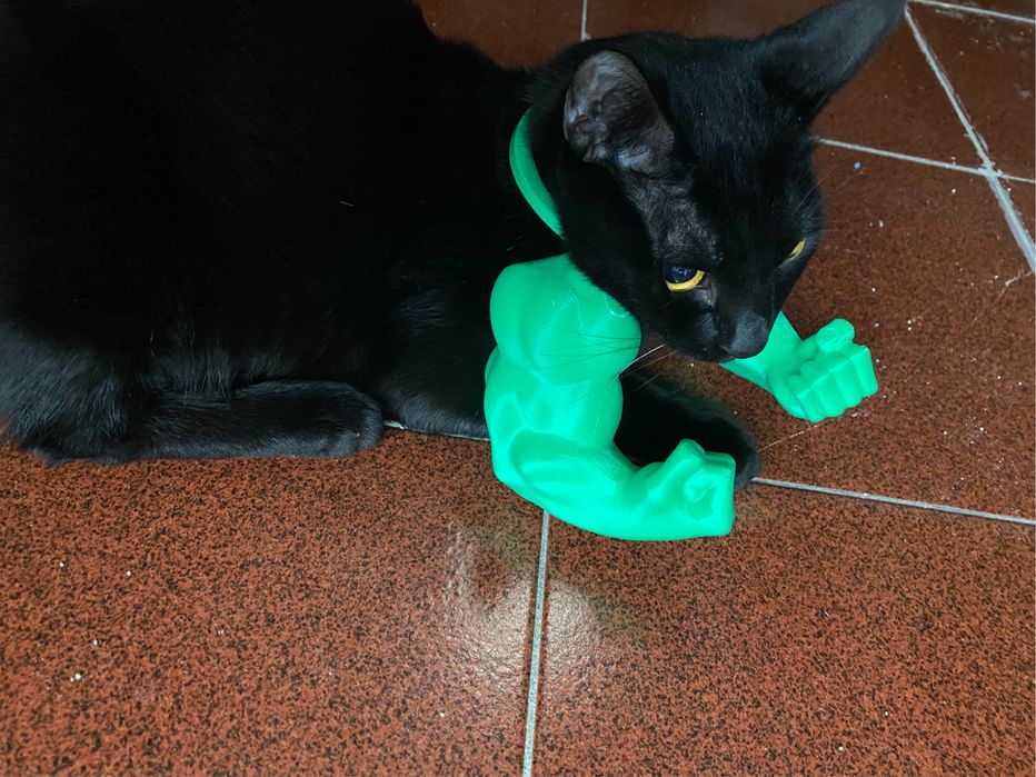 Руки Халка для домашнего животного