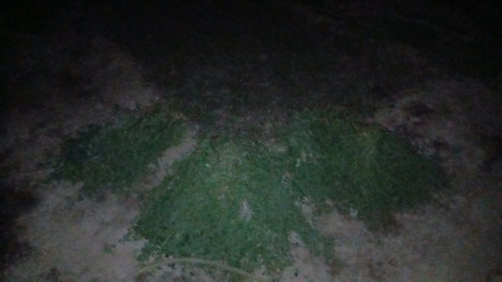 Қолдап жер аударамын,жоңышка орамын,