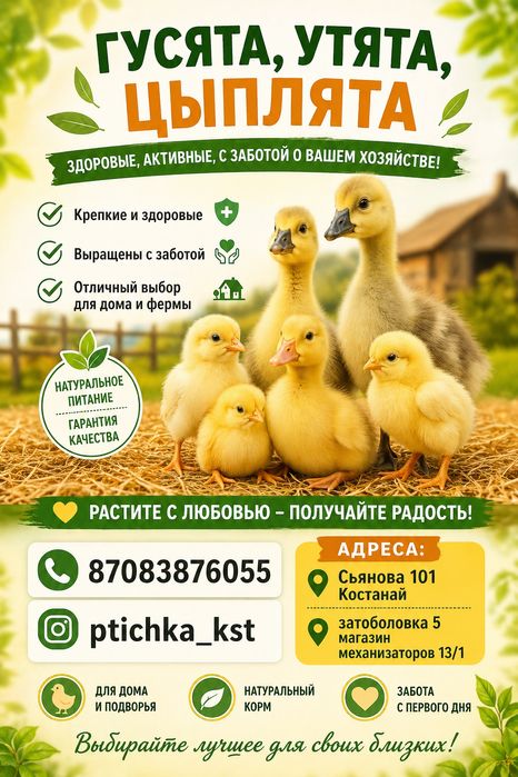 Утята, продам утят