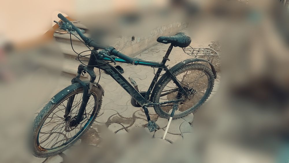 Velosiped holati yahwi