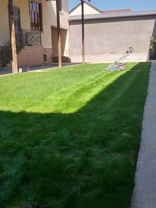 Газон+Ланшафт+Палив+Микроклимат хизматлари мавжуд гарантия 100%