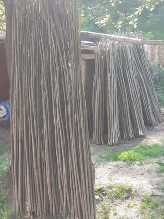 Pari de fasole și de roșii la 2 lei bucata ân legătură sunt  20 de buc