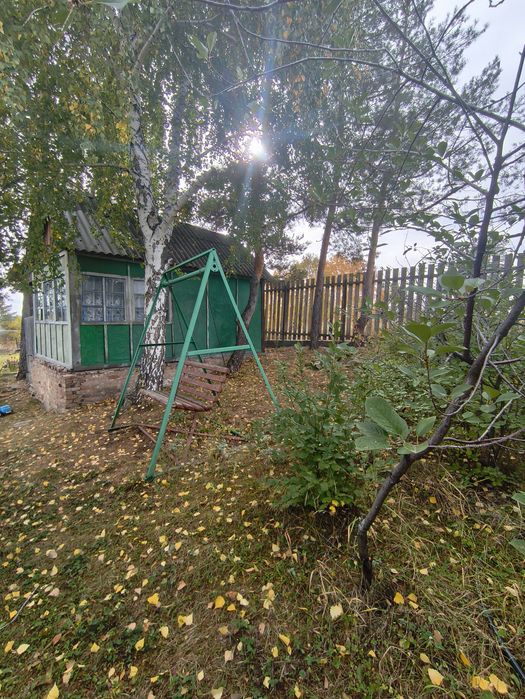Продам дачу в Новой Бухтарме
