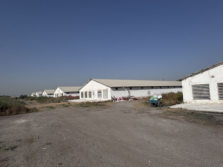 Продается база! Нурафшан (Туйтепа)