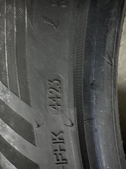 Поркичка сатылады жагдай жаксы