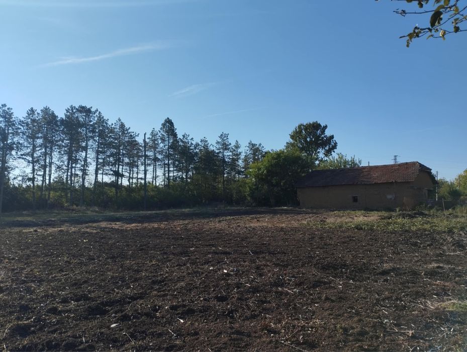 Продава се Парцел в с. Борован, Област Враца - 1000 кв.м за 3 €/кв.м - Снимка #1