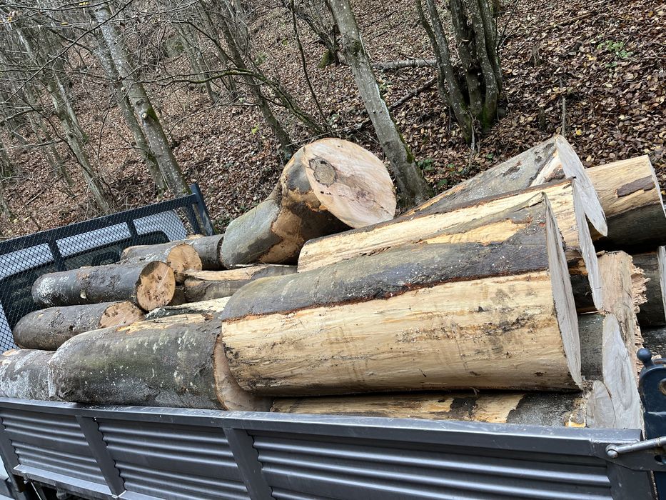 Vând lemne de foc esență tare