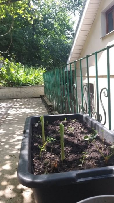 Ящик корзина для хранения