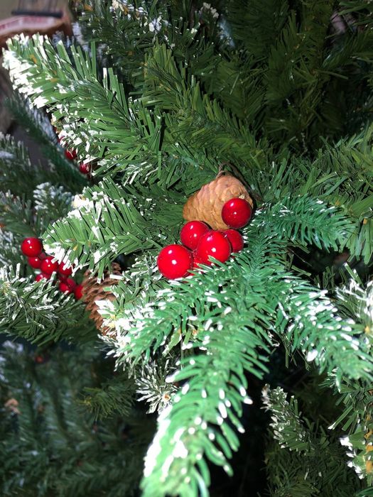 Archa yangi karobkalari bn