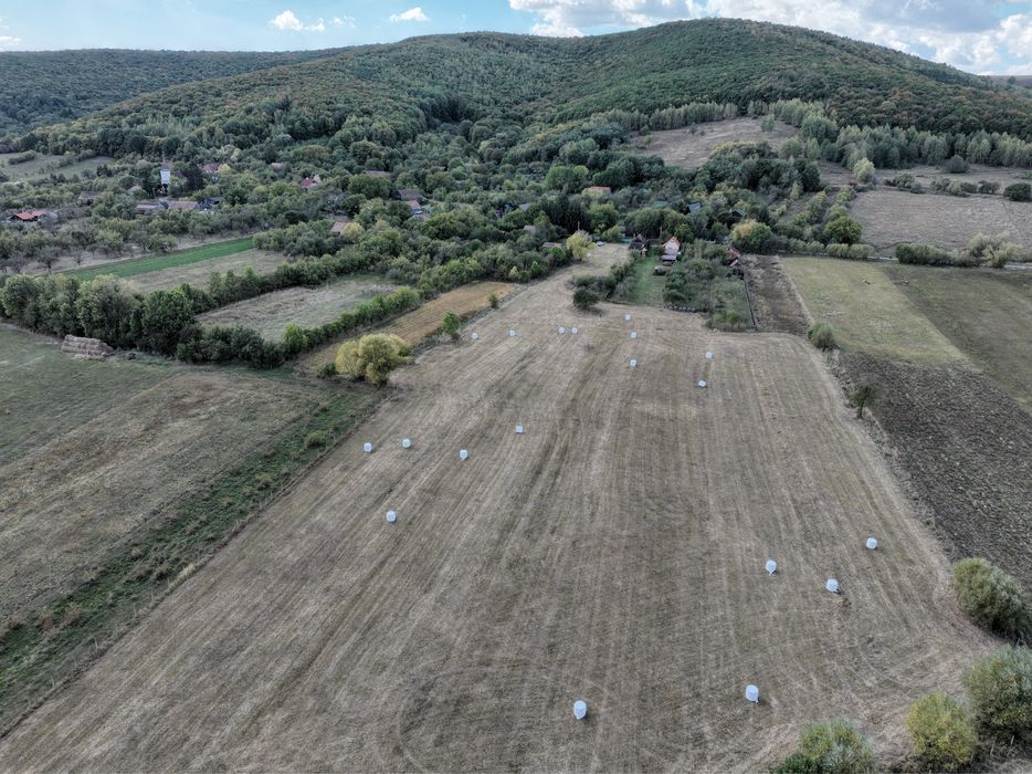 Teren 23.400 mp cu casă – Măgheruş, județul Covasna
