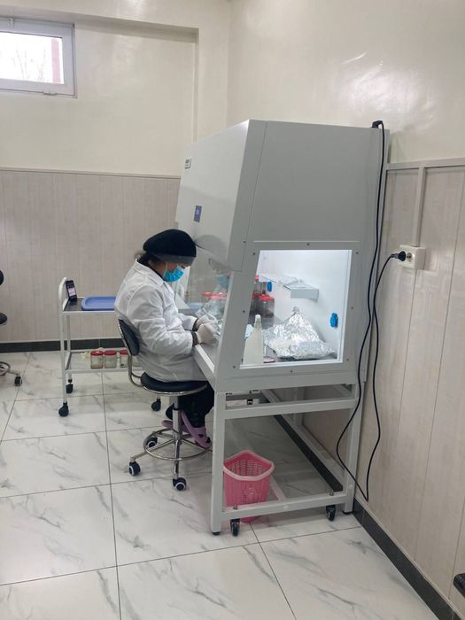 Navdor tut ko'chatlari