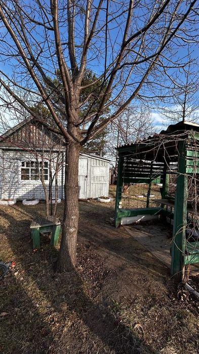 Продам дачу СО ГЕОЛОГ