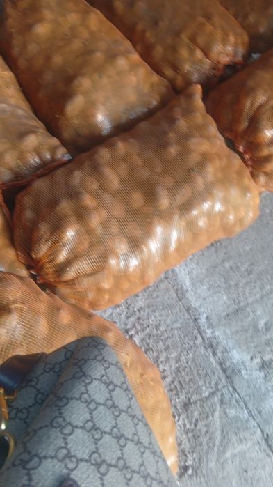 Продам семенной картофель