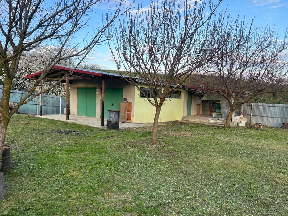 Vand teren extravilan (9500 mp + 4500 mp), comuna Ion Creanga, vizavi de cantonul silvic