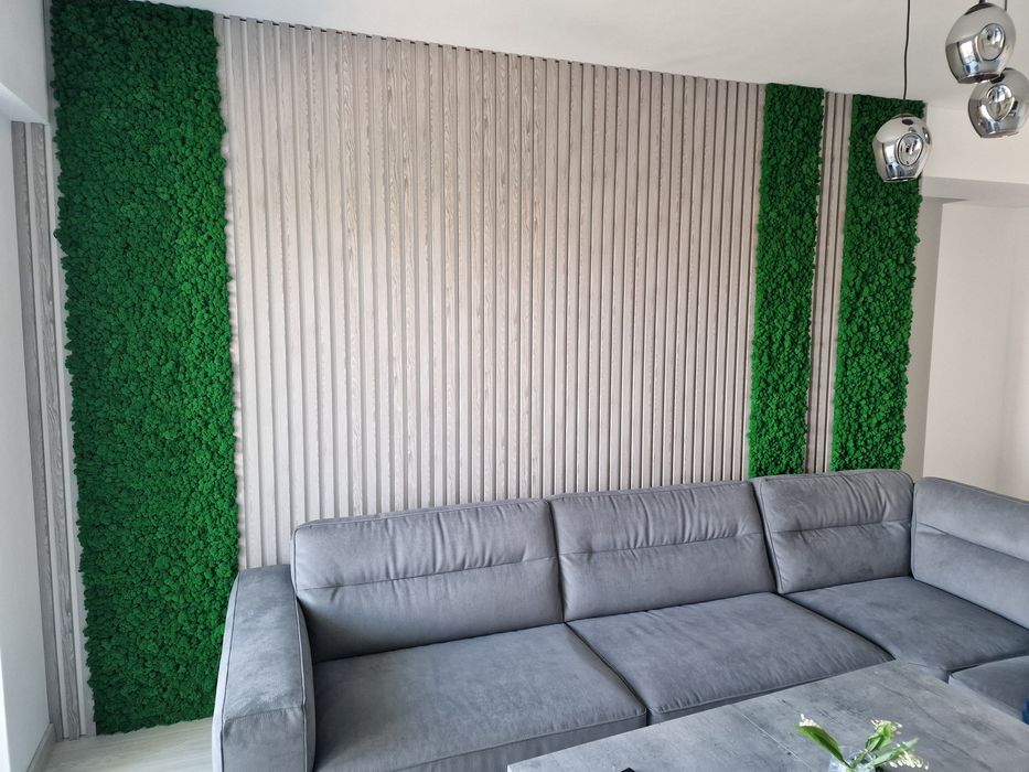 Amenajări interioare/renovări/sanitare/electrice