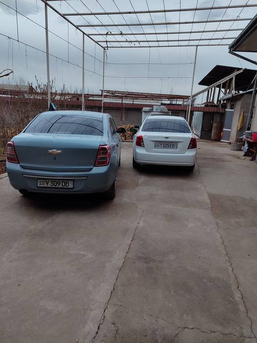 Kobilt 2013 mexanika