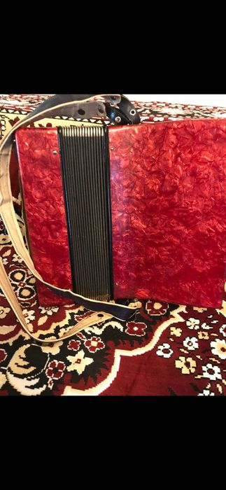 Acordeon Timiș Școlar